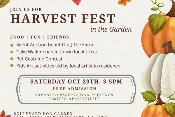 Harvest Fest Photo