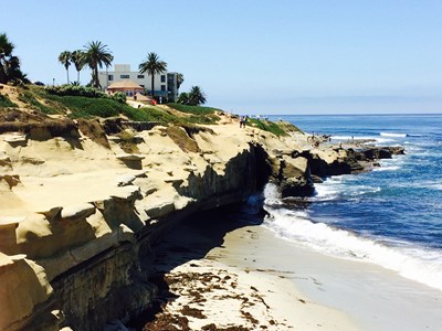 Large cliff faces of the La Jolla Cove topped with green palm trees overlooking the San Diego Coast.