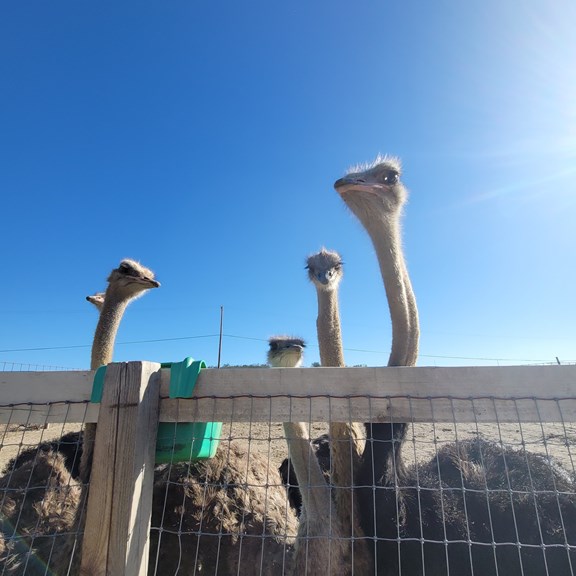 Plan a trip to Mead Valley, California