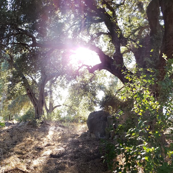 Plan a trip to Calipatria, California