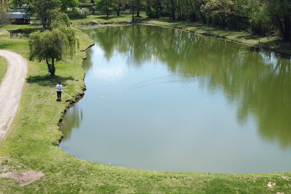 Fishing Ponds