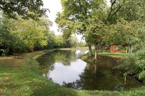 Fishing Ponds