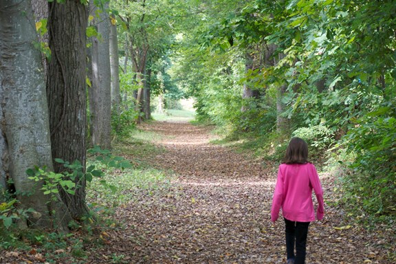 Hiking & Walking