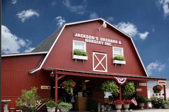 Jackson's Orchard