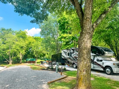 Stay 2 and Save 20% Super Fall Savings