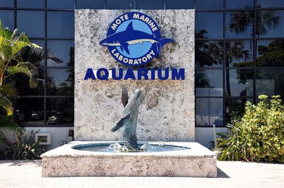 Mote Marine Aquarium