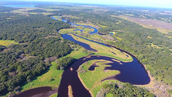 Myakka River State Park