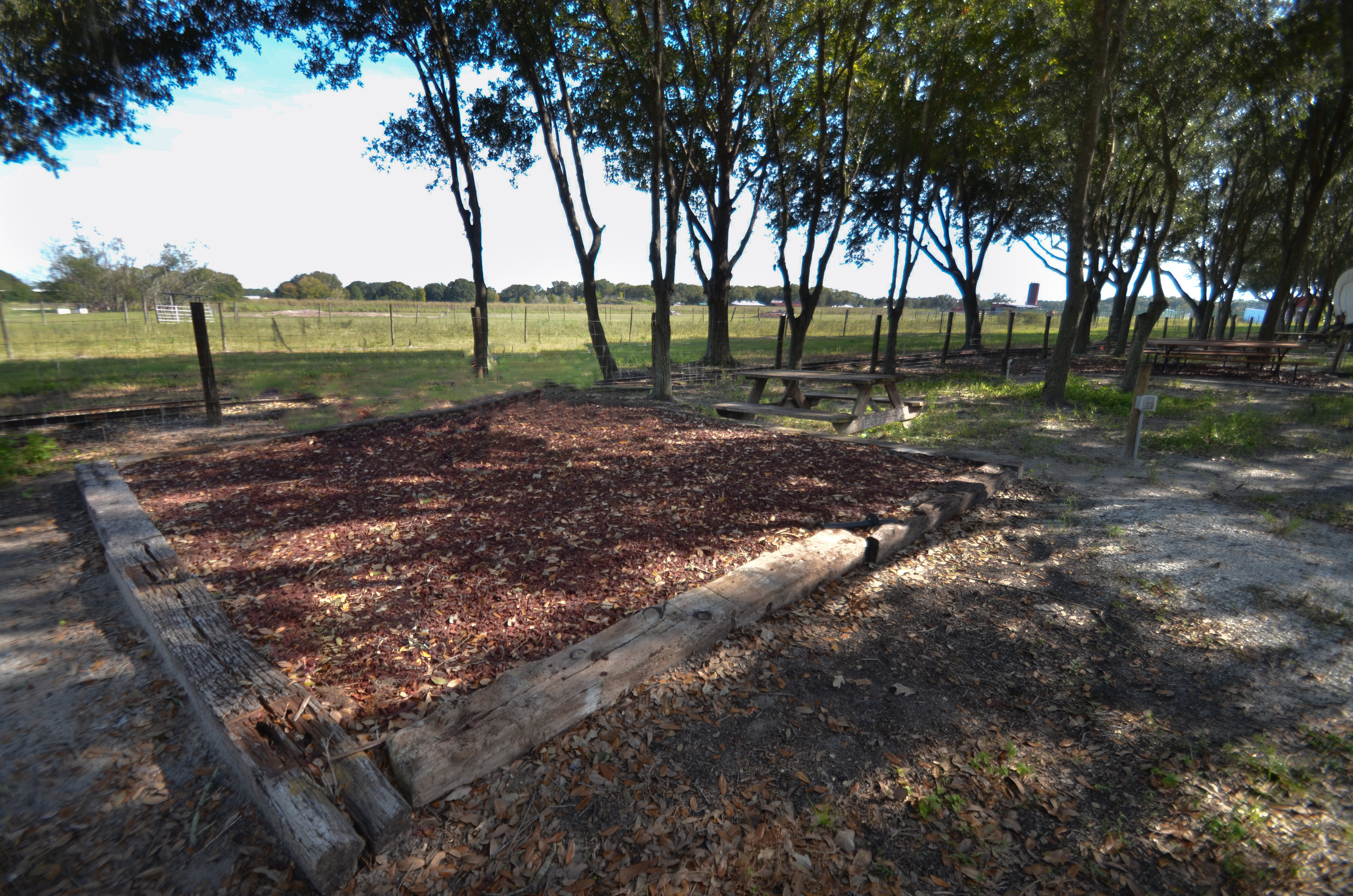 Camp under the shady oak trees on our large raised tent sites. Our tent sites are one of the closest areas in the campground to view the bison and buffalo.