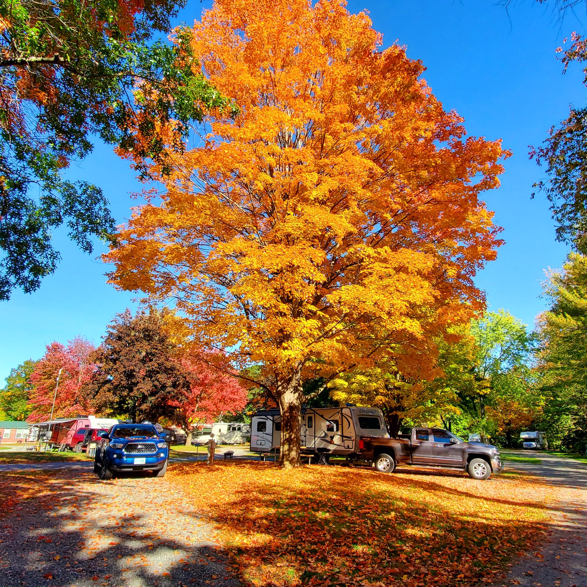 Brattleboro North KOA Journey General Info KOA Campgrounds