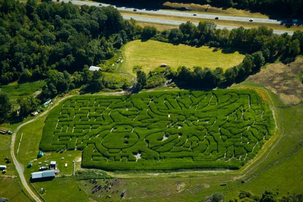 Gaines Farm Corn Maze Photo