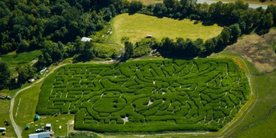 Gaines Farm Corn Maze