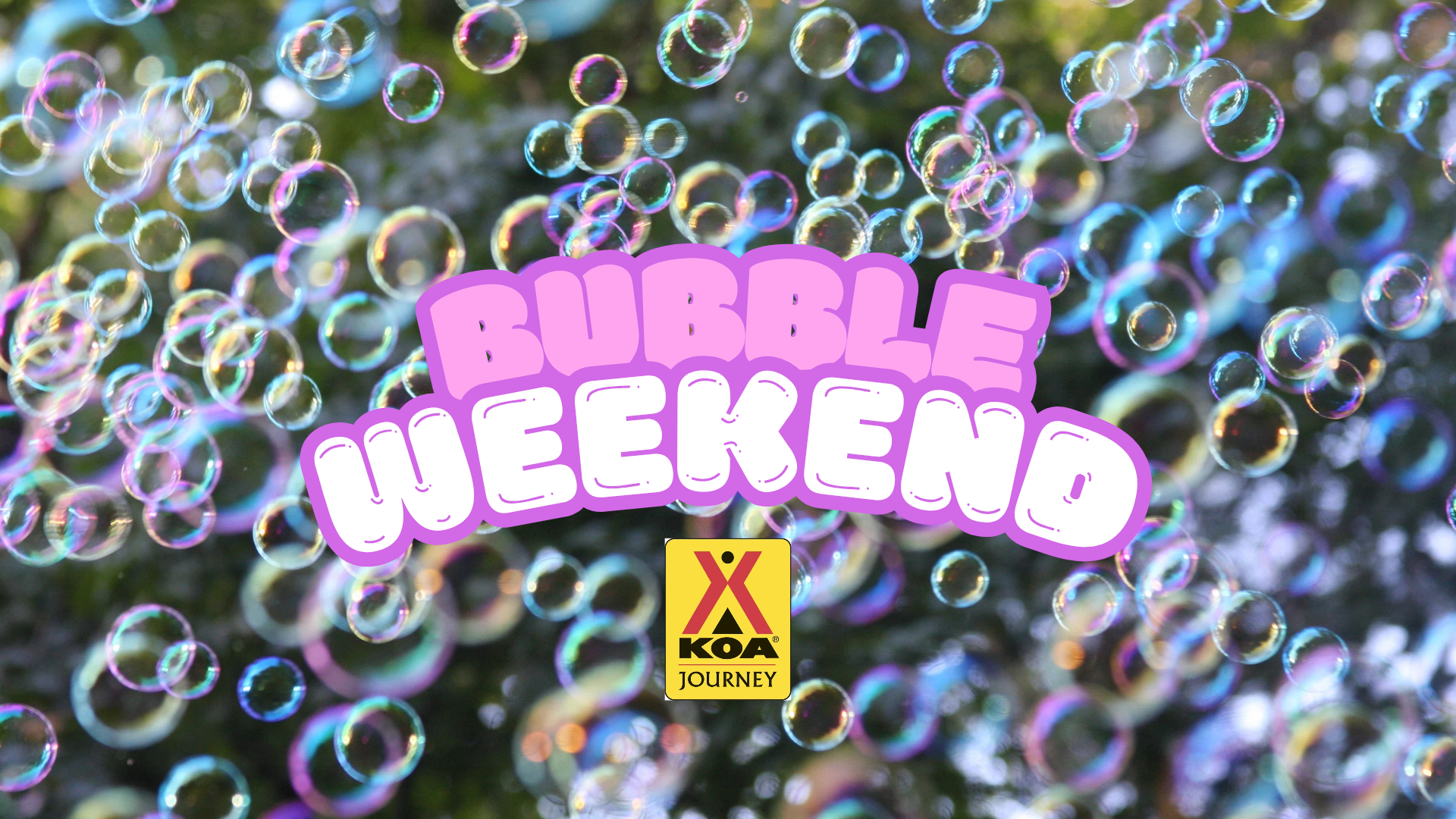 Bubble Weekend 2 Photo