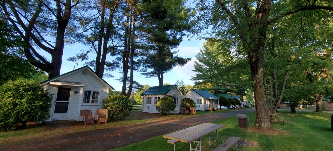 Cottage Row 2019