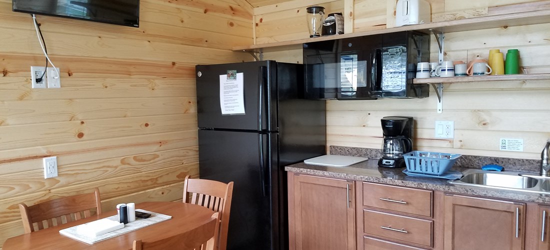 Kitchen Area in New Cabin.