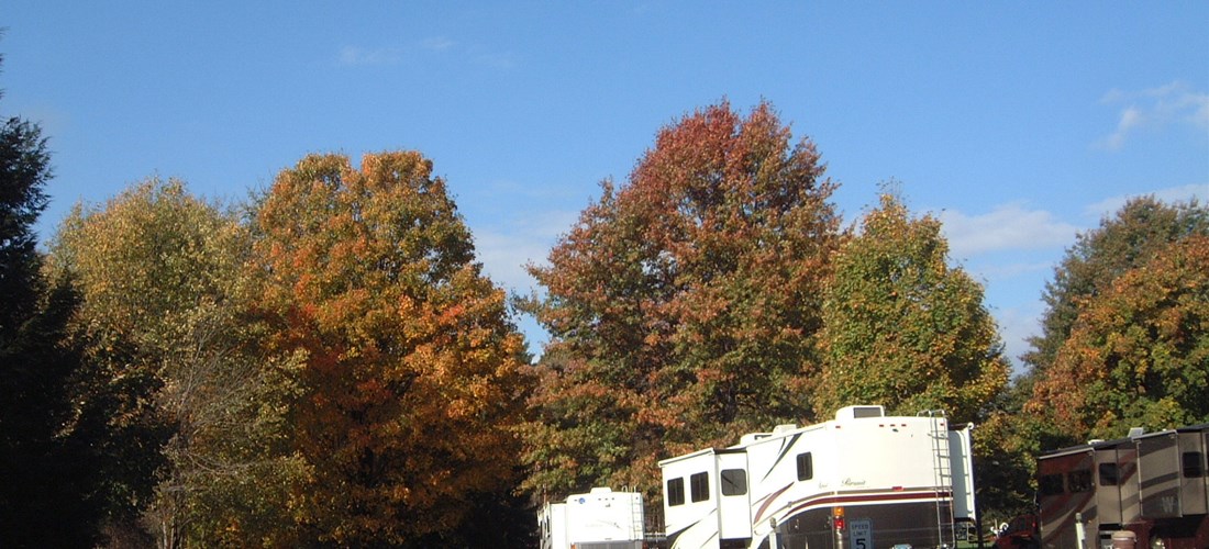 Foliage color coming in at camp