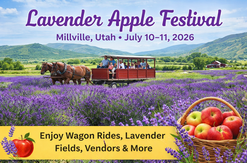 Lavender Apple Festival 2026 Photo