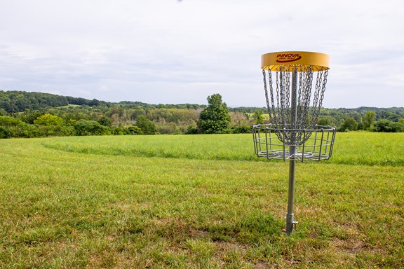 Disc Golf