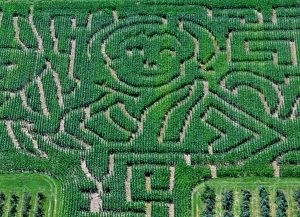 Cricklewood Farm and Corn Maze