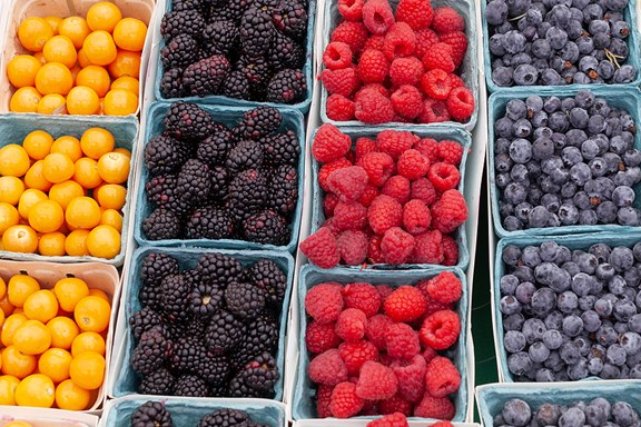 Campbellford Farmers' Market