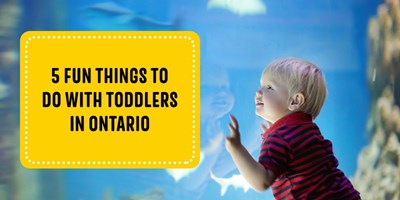 5 Fun Things to Do With Toddlers in Ontario
