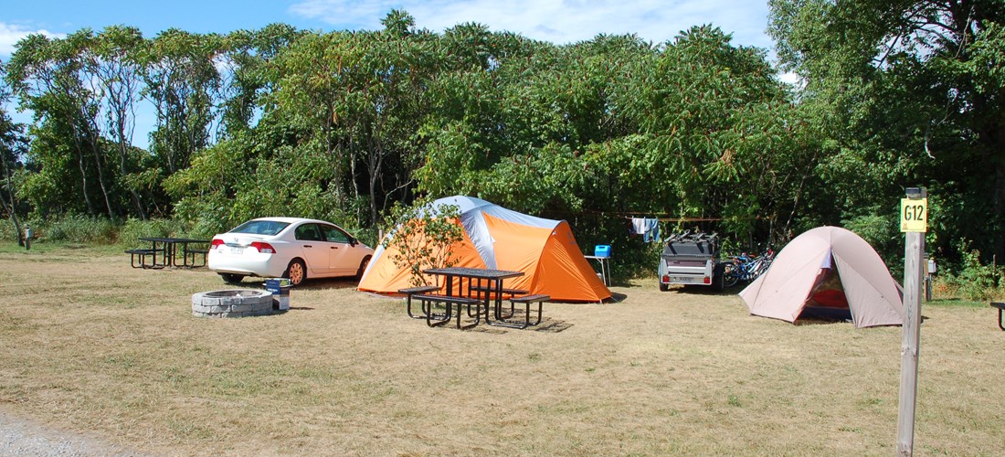 Deluxe Tent Site