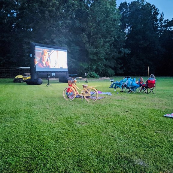 Movie Nights in the Park