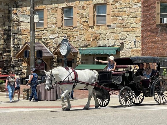 Brown County Carriage Rides