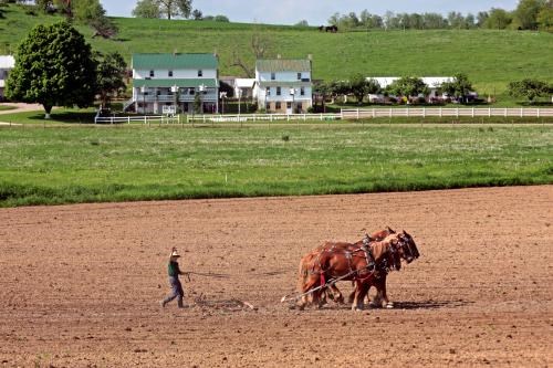 * Amish Country / Ohio