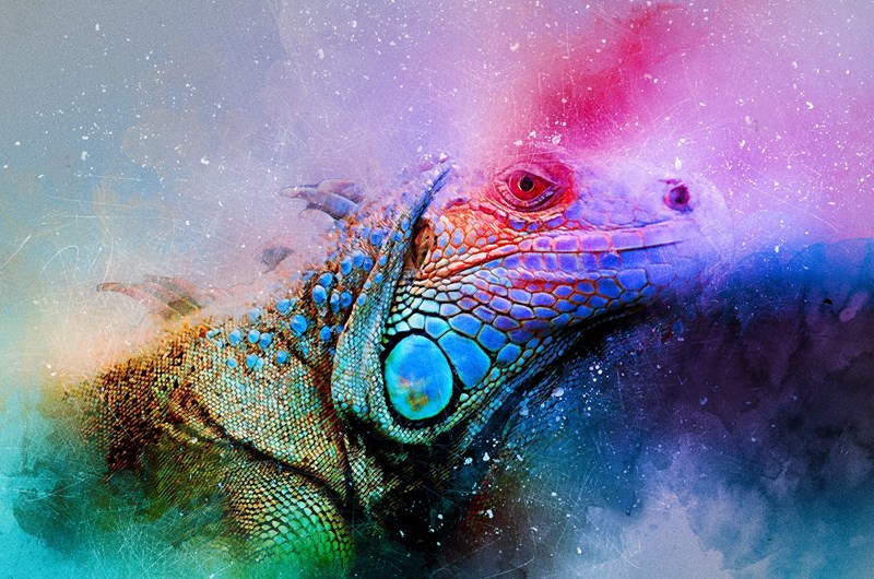 Realm of The Reptile: Event at the Buckeye Lake / Columbus East KOA