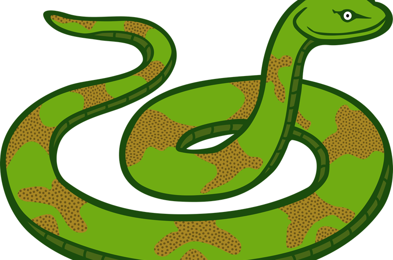 Reptile Weekend: Event at the Buckeye Lake / Columbus East KOA Holiday