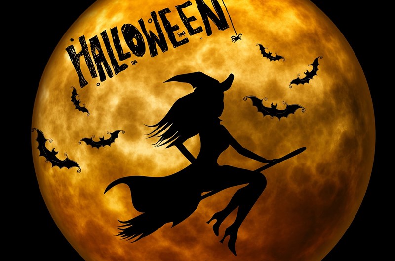 Halloween Weekend #1-Witches and Wizards Photo