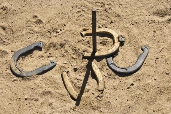 Horseshoe