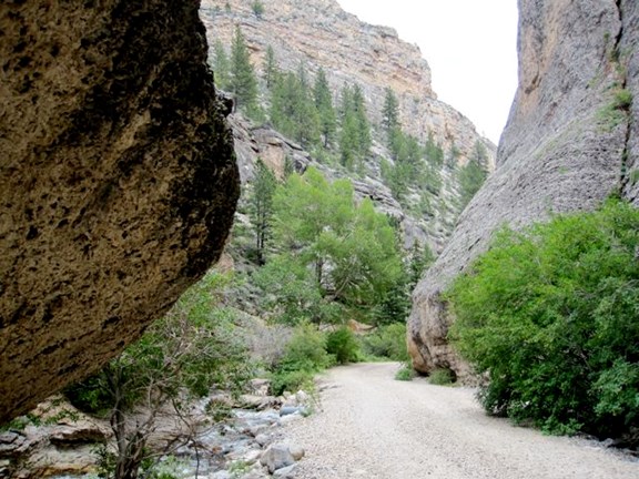 Crazy Woman Canyon