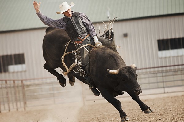 Forever West PBR Photo