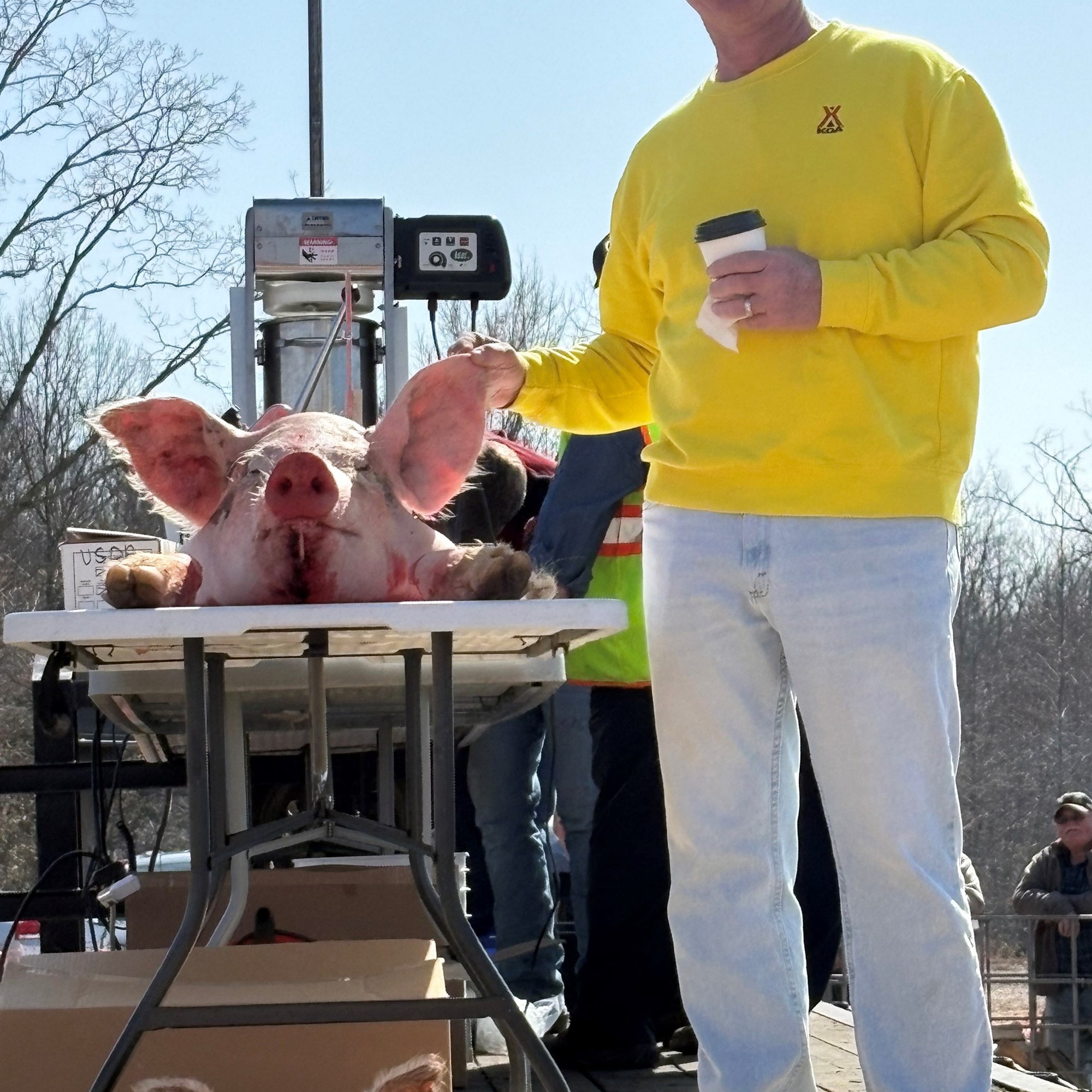 OVERHOLTS FARM MARKET HOG BUTCHERING EVENT Photo