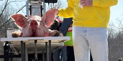 OVERHOLTS FARM MARKET HOG BUTCHERING EVENT