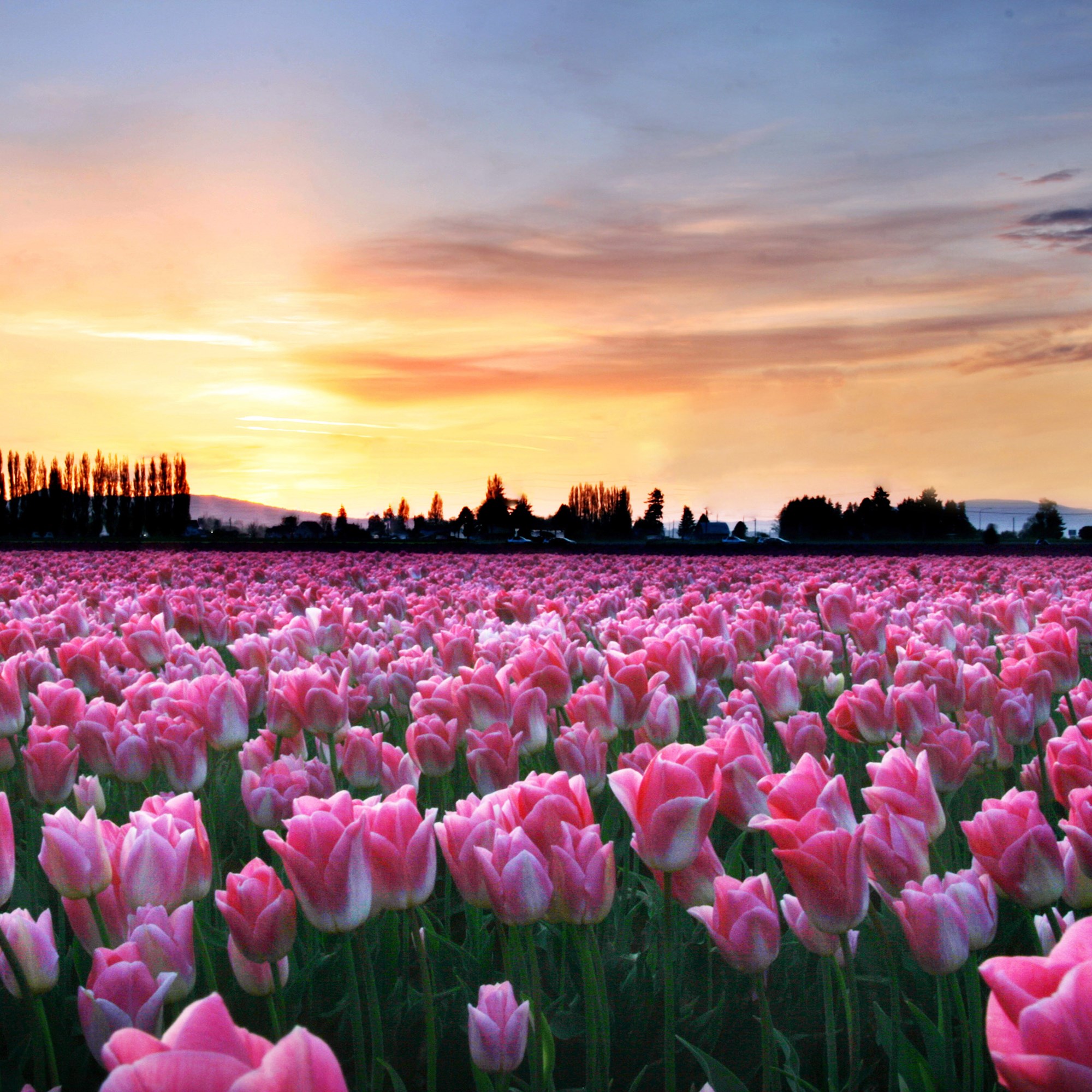 Burlington, Washington Campground Burlington / Anacortes KOA