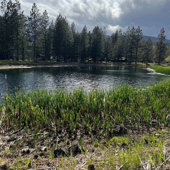 Plan a trip to Oroville East, California