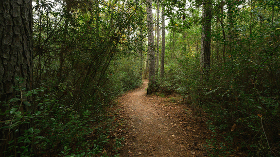 30 Acres of Trails along the Clam River
