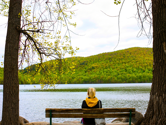 Mitchell State Park