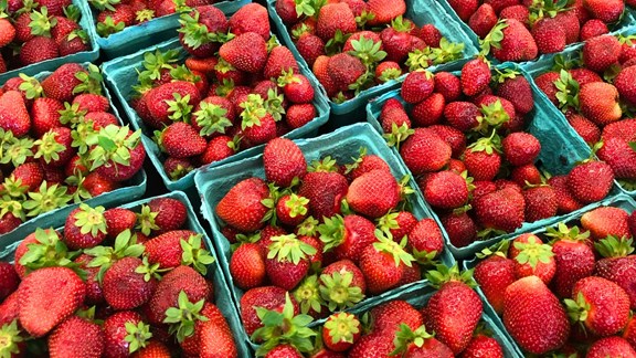 Cadillac Farmers Market
