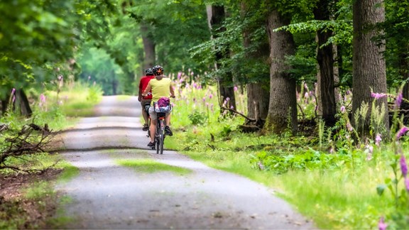 Cadillac Pathway Trail