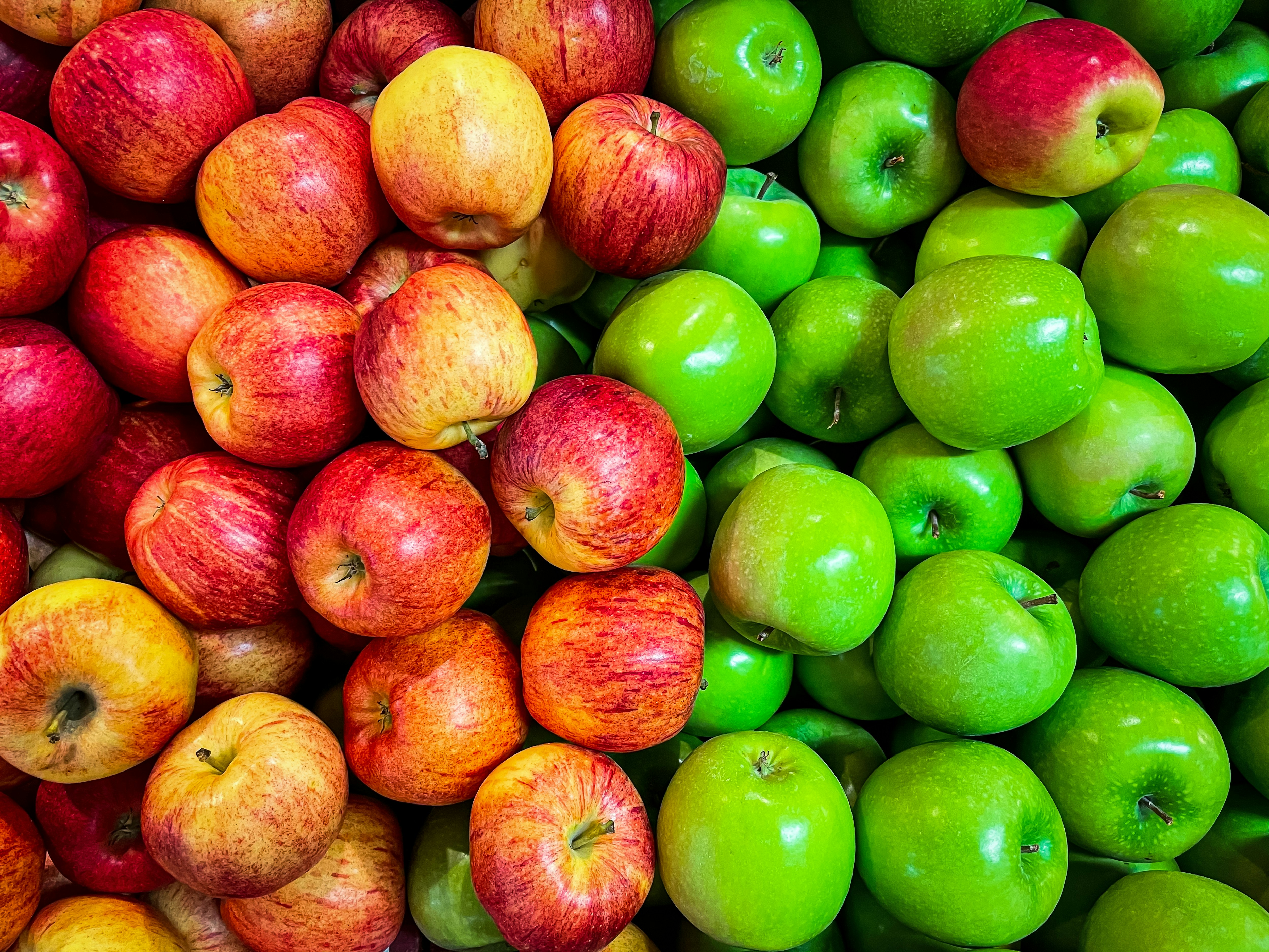 Fruits of Fall Weekend Photo