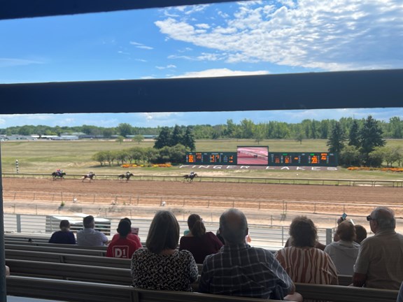 Horse Racing