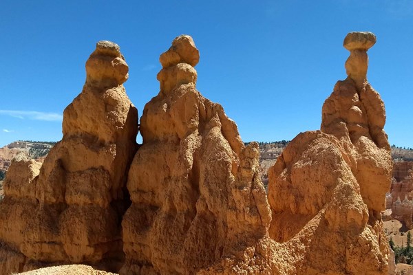 Fee Free Day in Bryce Canyon National Park Photo