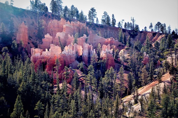 Fee Free Day in Bryce Canyon National Park Photo