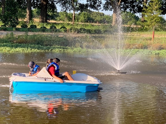 Paddle Boat Rentals