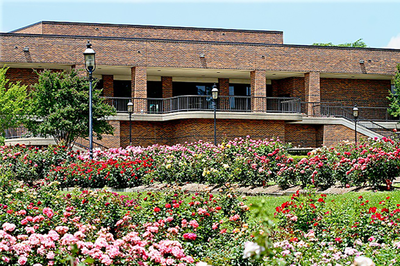 Tyler Rose Garden