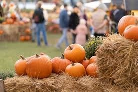 Fall Fun