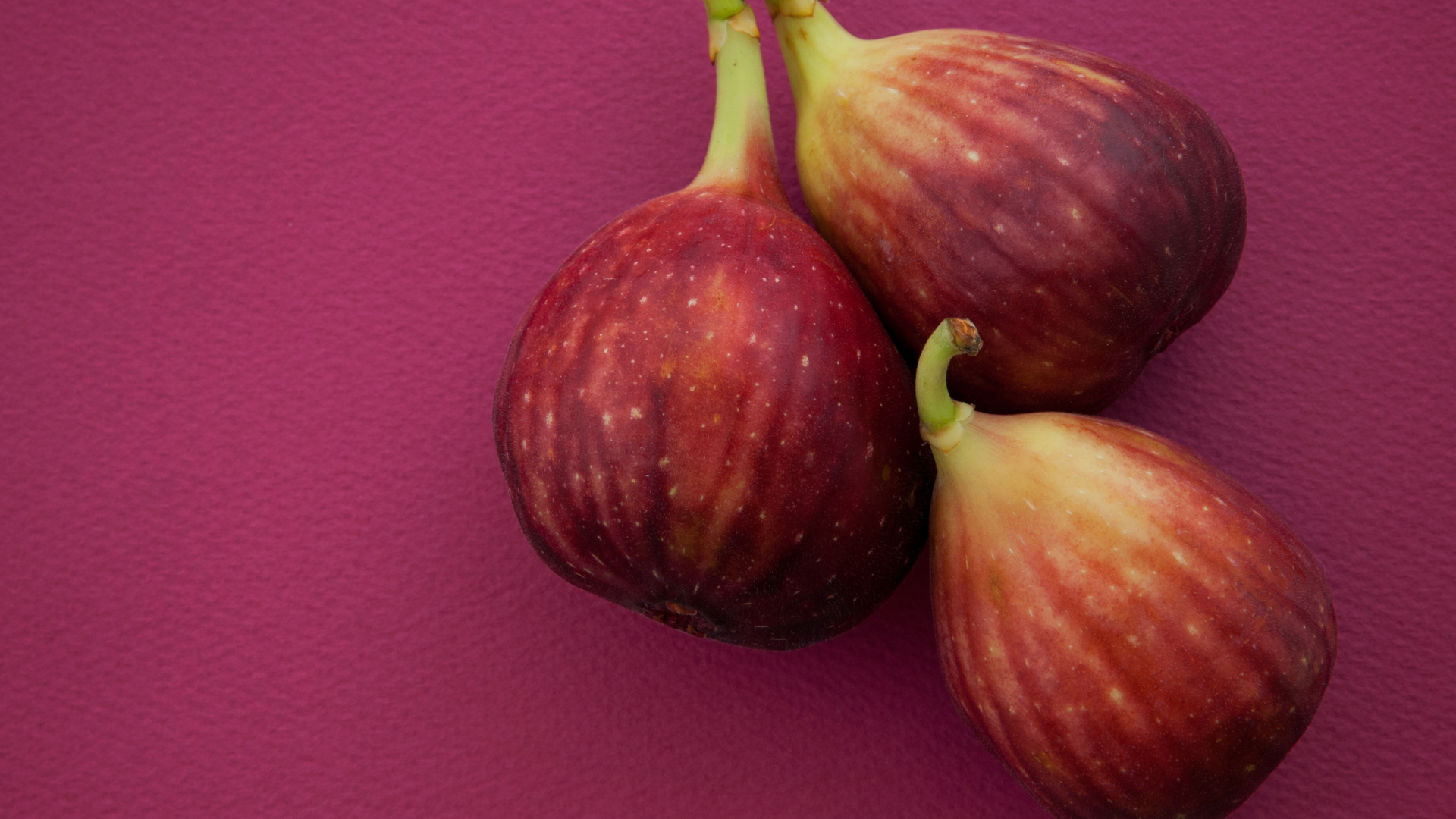 Ocracoke Fig Festival Photo